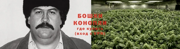 гашик Елизово