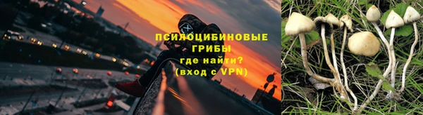 гашик Елизово