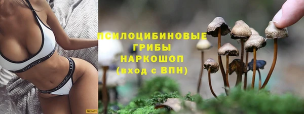 mix Ельня