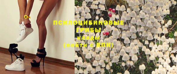 бутират Елабуга