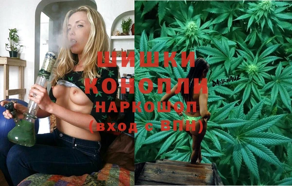 гашик Елизово