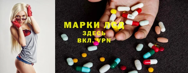 гашик Елизово