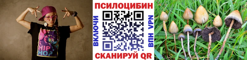 Псилоцибиновые грибы прущие грибы  Купить  Корсаков 